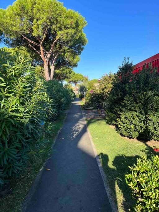 Casina Mare Bibbona Apartman Marina Di Bibbona Kültér fotó
